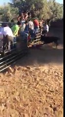 regis agresser par un taureau