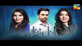 Dil E Beqarar Episode 13 Promo HUM TV - 29 June 2016