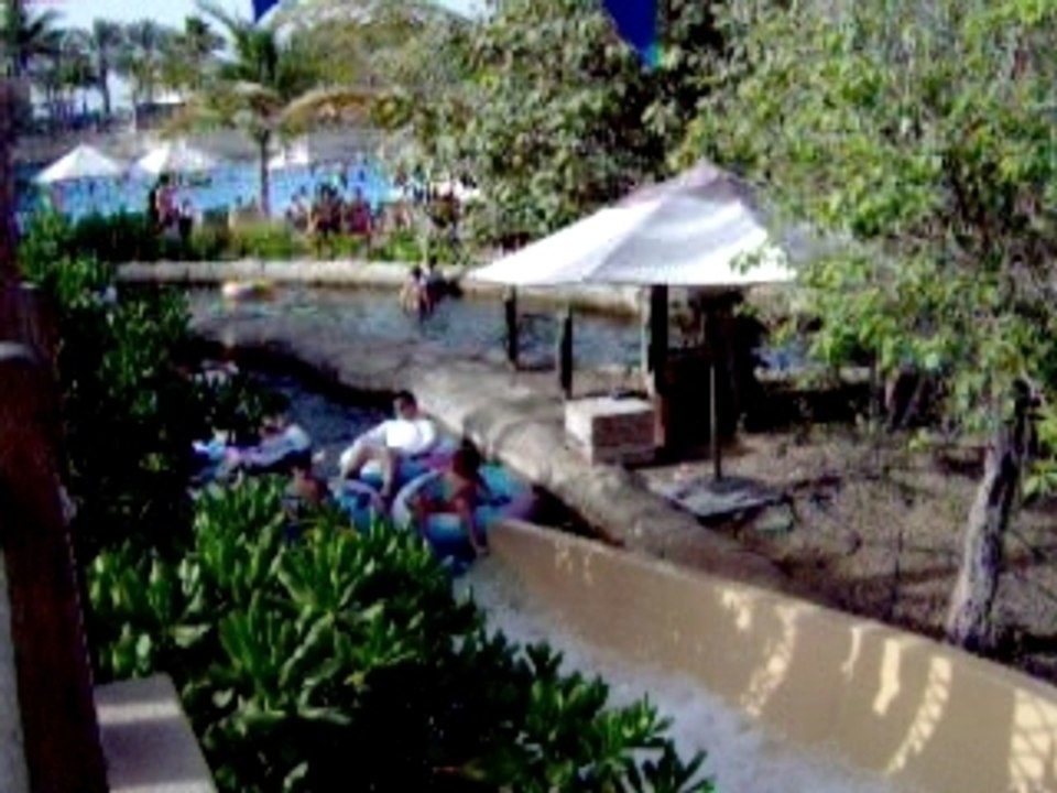 Wild wadi 2