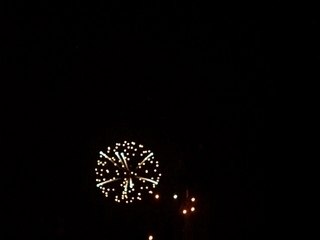 Feux d'artifice lyon, 14 juillet 2007