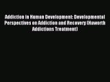 Read Addiction in Human Development: Developmental Perspectives on Addiction and Recovery (Haworth