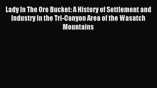 Read Lady In The Ore Bucket: A History of Settlement and Industry in the Tri-Canyon Area of