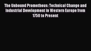 Read The Unbound Prometheus: Technical Change and Industrial Development in Western Europe