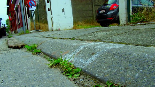 VW Passat 3BG Oli Low Prod'