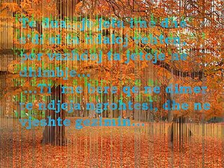 Poezi dashurie Te dua