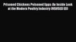 [PDF] Prisoned Chickens Poisoned Eggs: An Inside Look at the Modern Poultry Industry (REVISED