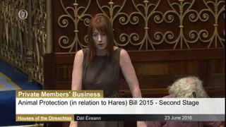 Clare Daly TD speaks in favor of a ban on hare coursing.