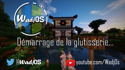 [Rediff] Minecraft StarKubs & Hypixel - Live - 29/06/2016 - Wadj0s