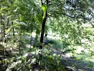 North Shore de Gattières