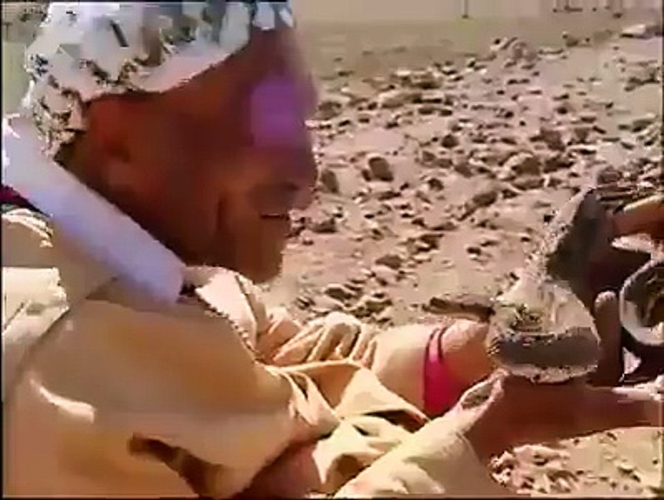 Superb job by an old man kisses snake like his wife