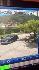 VIDEO: Así asaltan en la colonia Trejo de San Pedro Sula