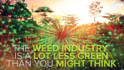 Growing Weed Isn't As Green As You Might Think