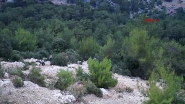 Antalya Suriyeli İşçileri Taşıyan Minibüs Uçuruma Yuvarlandı 6 Yaralı