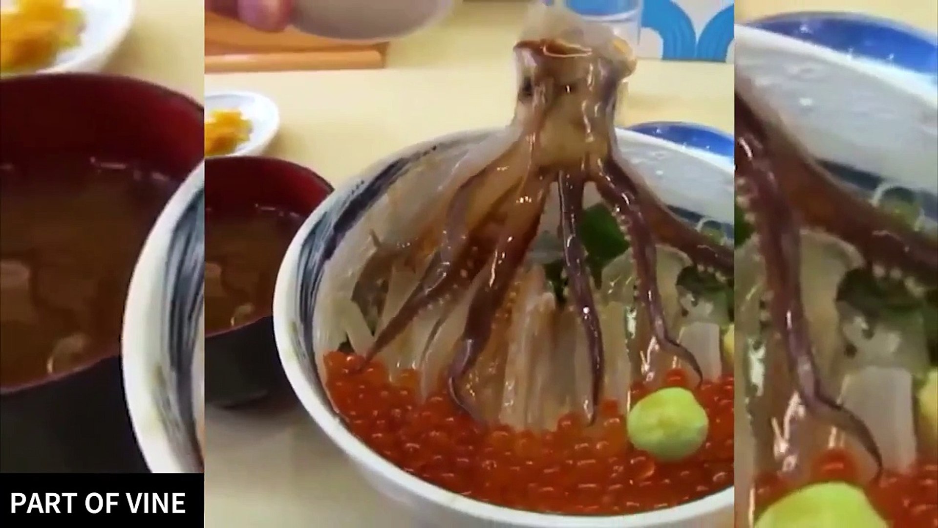 ⁣Living Dinner Octopus