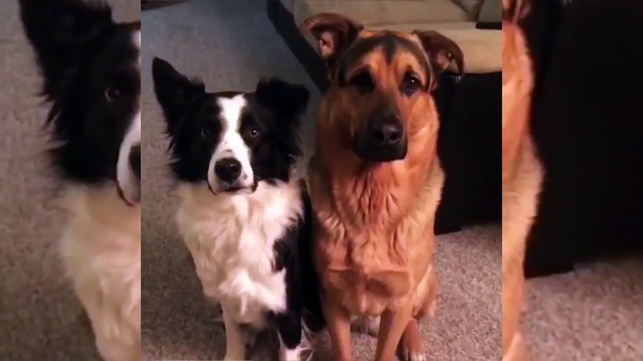 Who's Your Best Friend