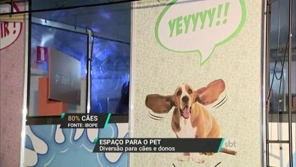 Animais de estimação ganham cada vez mais espaço em shoppings e condomínios
