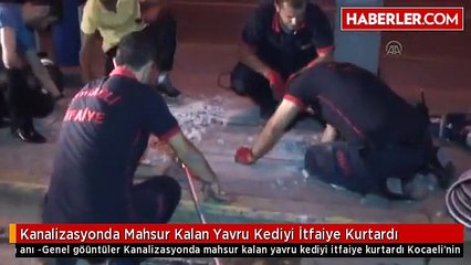 Kanalizasyonda Mahsur Kalan Yavru Kediyi İtfaiye Kurtardı