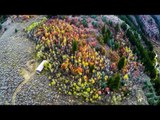 Drone Captures Incredible Footage of Utah Mountains