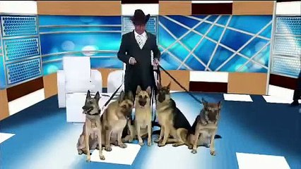 A turma do Didi Mais Cedo Pânico Na Band 17/03/13 HD