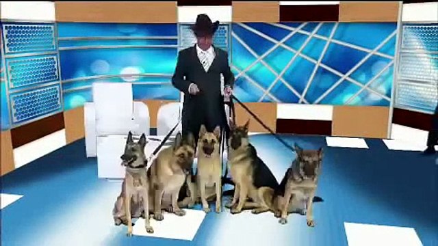 A turma do Didi Mais Cedo Pânico Na Band 17/03/13 HD