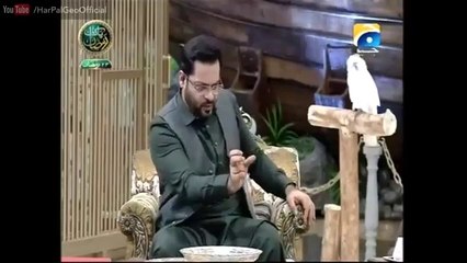 A guy gave Aamir Liaqat tough time by questioning his 'split personality'