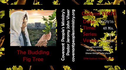 The Budding Fig Tree