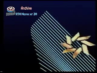 Jungle de pub sur 2M 1989-2009د