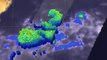 NASA Sees Heavy Rain in Arabian Sea Tropical