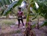 Muay Thai Fighter Takes Down Tree