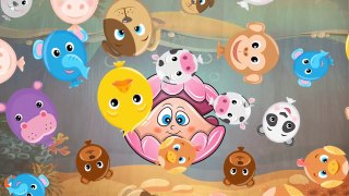 Baby Panda Learn About Sea Animal | Animal Puzzles & Real Video Of The Animals | Educational Games
