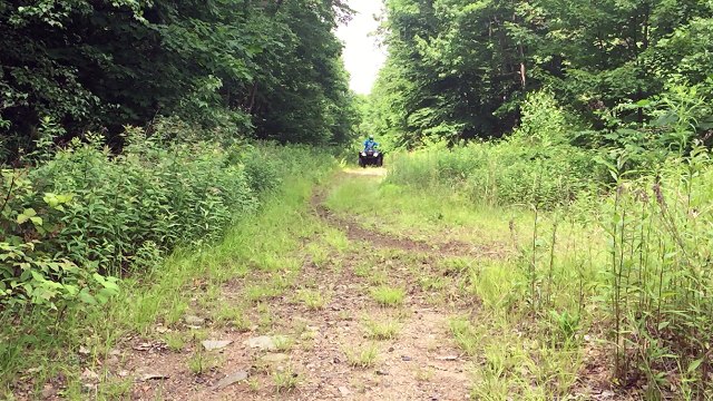 The 2017 Honda Rancher DCT Straight Axle 420 4x4 ATV in Action - Front