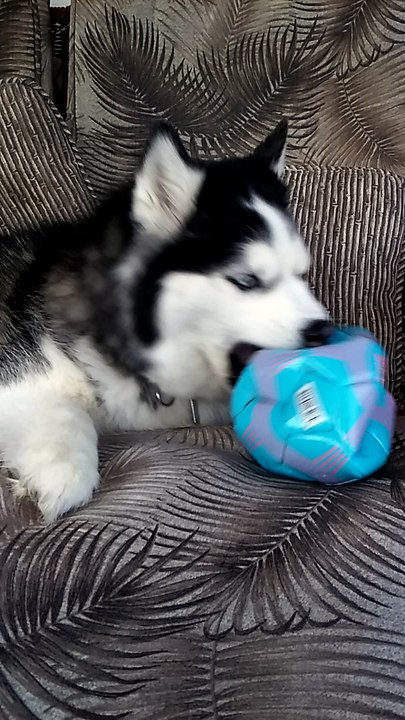 Winter vs Soccer Ball