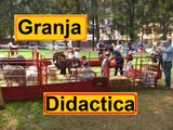 GRANJA DIDACTICA. servicio a domicilio. FIESTAS INFANTILES. Ciudad de México.