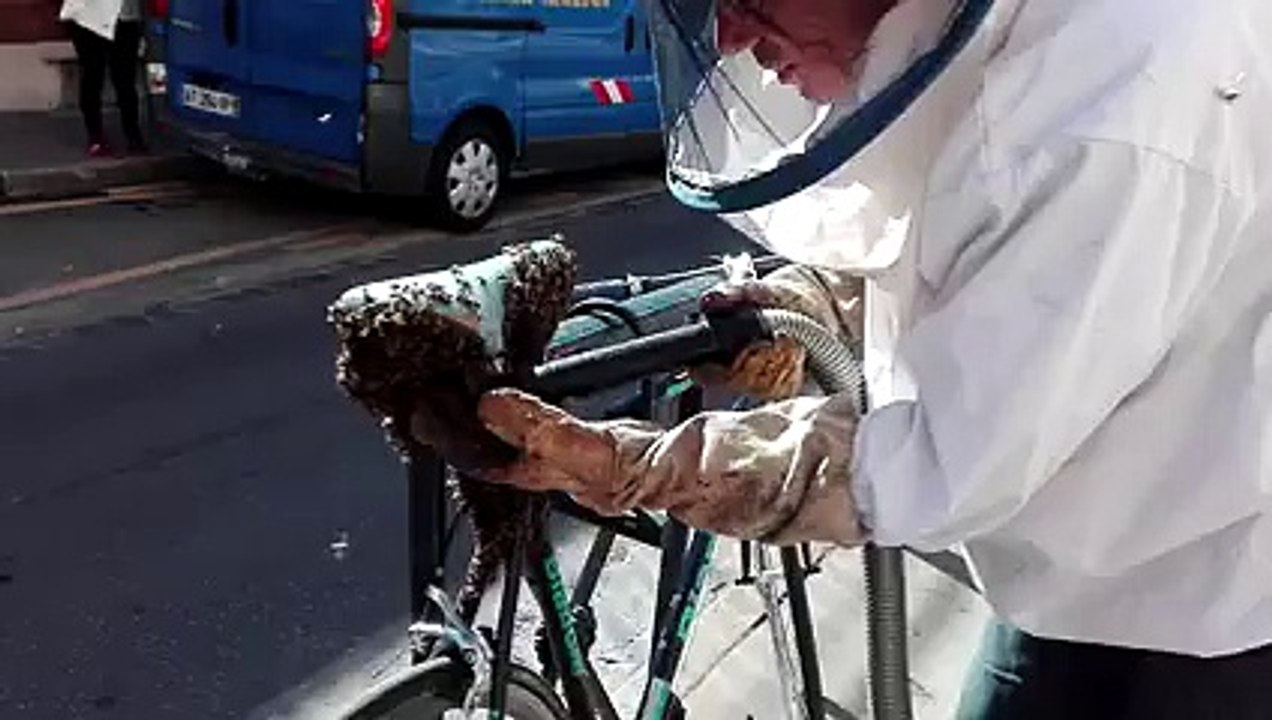 Des milliers d'abeilles prennent d'assaut un vélo