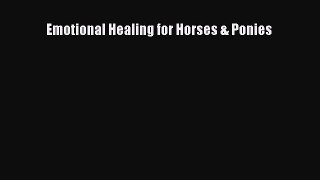 Read Book Emotional Healing for Horses & Ponies E-Book Free