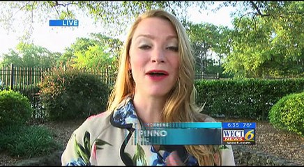 Howie, le petit Beagle paralysé et abandonné, va enfin pouvoir remarcher !