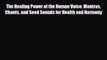 Download The Healing Power of the Human Voice: Mantras Chants and Seed Sounds for Health and