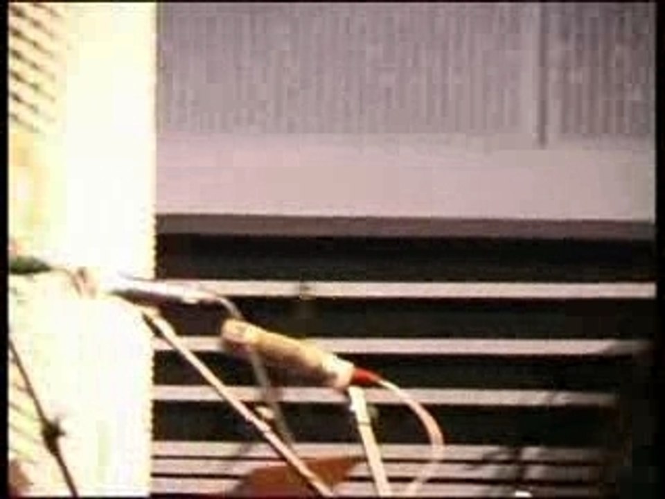 River Nile - Reggae dub poetry. Ras Nas music