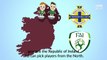 Euros 2016 - Northern Irish and Irish Football explained - BBC Sport
