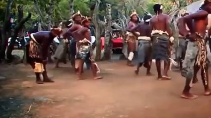 Zulu tribes dance ceramony best tourism destination
