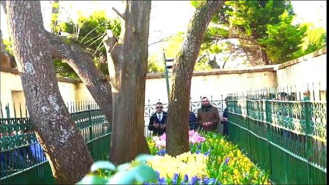 Neden Onu Çok Sevdik- - SEDAT PEKER By Daraske