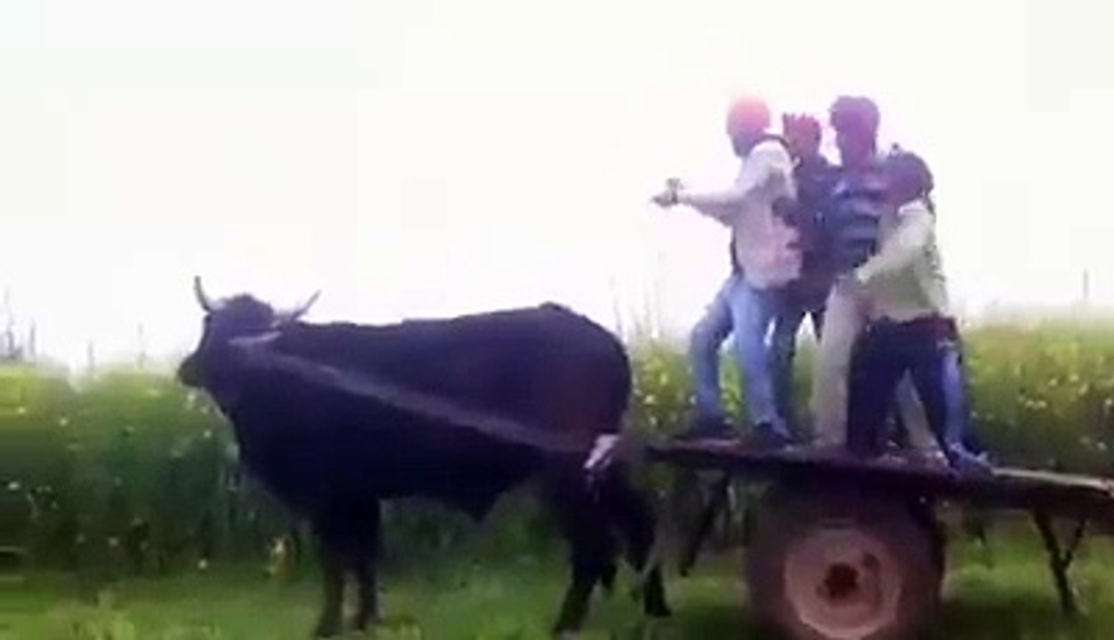 punjabi pendu boys funn