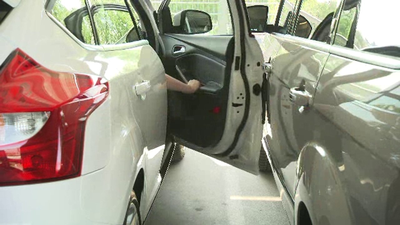 Ford Door Edge Protector