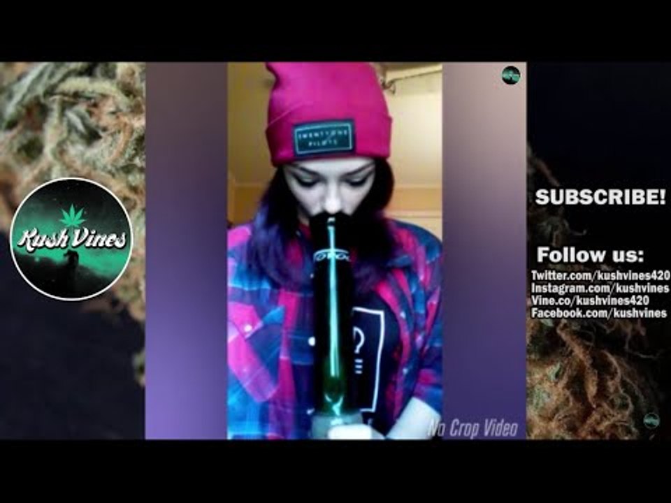 NEW Best Stoner Vine Compilation ( Best Stoner vines January 2016 ) | Kush Vines | Part 1