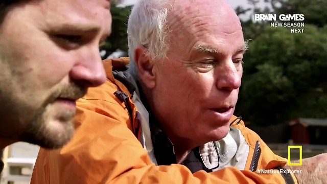 Исследователь 2.0: 1-й сезон 6-я серия. Раскройте пошире глаза / Explorer. Eyes Wide Open (2015) HD 720p