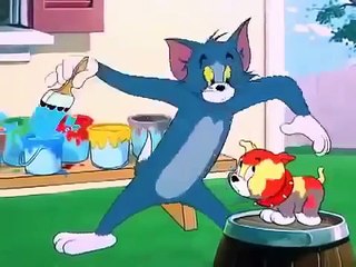 Tom And Jerry Cartoon in Urdu