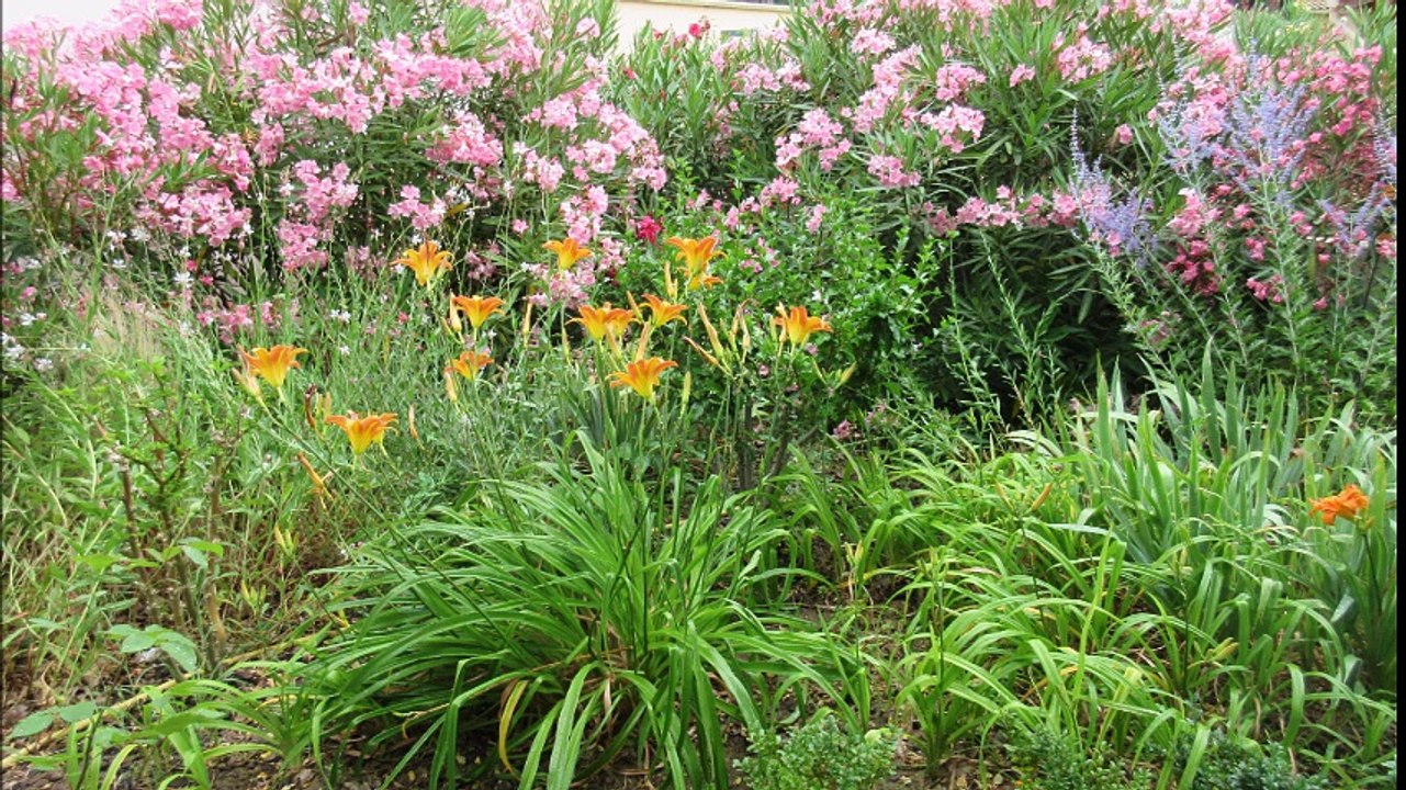 jardin