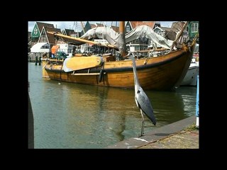 Pays bas - www.envie-de-voyages.com