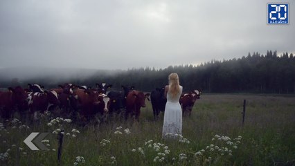 Elle rassemble les vaches en chantant ! - Le rewind du jeudi 30 juin 2016.