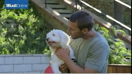 Lucky dogs! Hunky and single) animal trainer rescues 20 pooches from the pound for TV show
